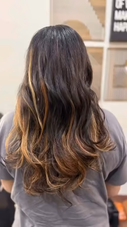 Long dark hair with honey balayage, from the back